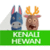 Mengenal Hewan