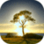 Cool Nature Wallpapers HD