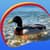 Great Ducks Live Wallpapers