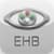 Eye Handbook