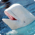 Whales : Ocean Wild Animals