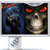 Grim Reaper Live Wallpaper VD
