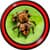 Spider Live Wallpapers Free