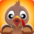 Turkey Roast