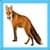 Kids Fox