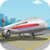 Park My Plane