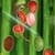 Fruit Cutter Pro