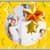 Best Stars Photo Collage