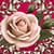 Lovely Mothers Day Photo Collage