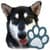 Top Dog Breeds