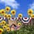 Garden Live Wallpapers