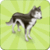 Forest Animale Memory Game Free
