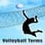 Volleyball Terms Lite