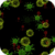 Infected Screen Live Wallpaper