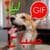 Arabic Good Morning Good Night Gifs