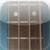 Bass Guitar