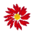 Flower Fortune Live Wallpaper