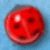 Ladybug 2