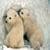 Cute Little Polar Bears Live Wallpaper