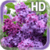 Flower Lilac Live Wallpaper