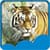 Tiger Live Wallpapers New