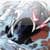 ShadowHawk #2