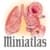 Miniatlas Asthma