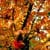 Nature Live Wallpaper 65