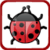 Lady Bug Tap