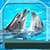 Beautiful Dolphins Photo Frames