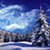 Snowy Pics Live