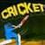 Cricket Games Online