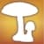 Audubon Mushrooms  A Field Guide to North American Mushrooms