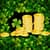 Adorable St Patricks Day Collage	