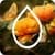 Blur Photo Editor App 2019