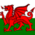 Learn Welsh Fast