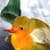 Flappy Bird Live Wallpaper 4