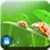 AppLock Theme Green