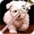 Puppy Zipper Lock Screen