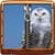 Owl Zipper Lock Screen