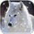 HD Wallpaper Wolf