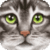 Ultimate Cat Simulator FREE