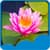 New Lotus Live Wallpapers