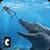 Sea Dragon Water Beast Survival