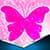 Nice Butterfly Photo Crop