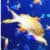 Fish Hunting for android