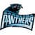 Carolina Panthers Fan