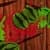 fruit cutter2