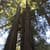 Nature Live Wallpaper 20