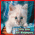 Free Hot Cute Cat Wallpapers